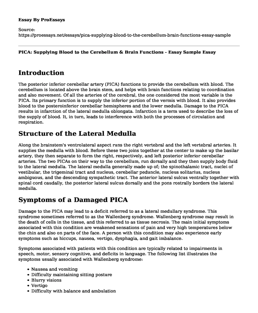 PICA: Supplying Blood to the Cerebellum & Brain Functions - Essay Sample
