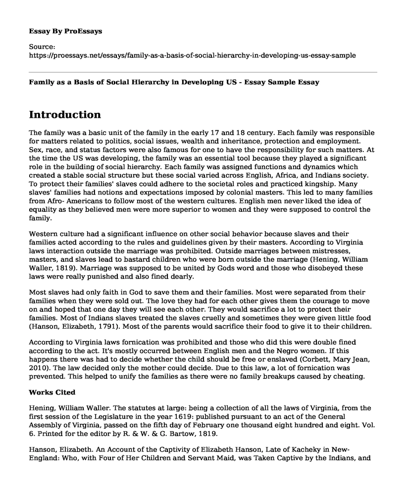 Family as a Basis of Social Hierarchy in Developing US - Essay Sample