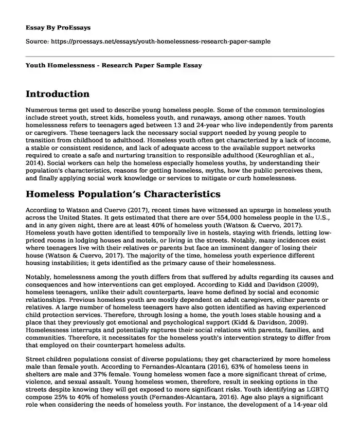 Youth Homelessness - Research Paper Sample