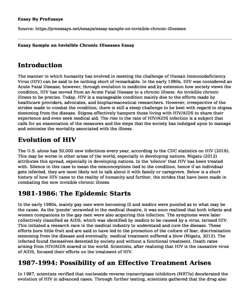 Essay Sample on Invisible Chronic Illnesses