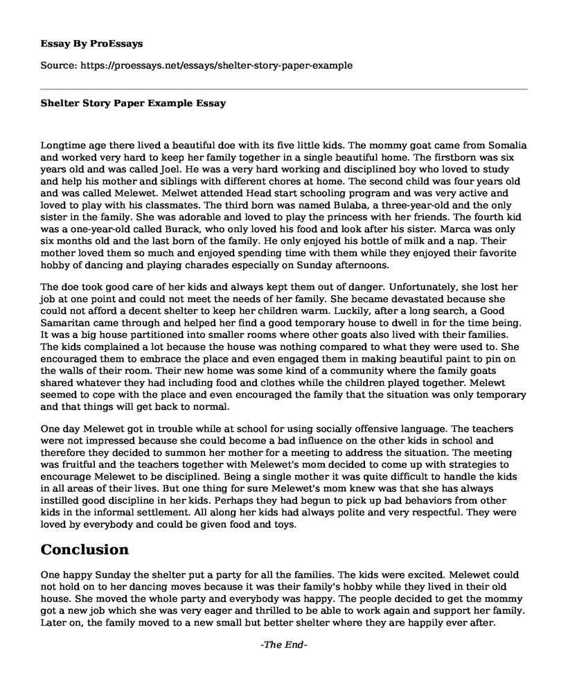 Shelter Story Paper Example