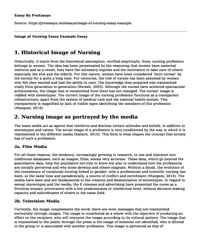 Image of Nursing Essay Example