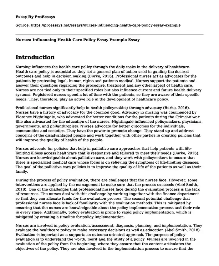 Nurses: Influencing Health Care Policy Essay Example