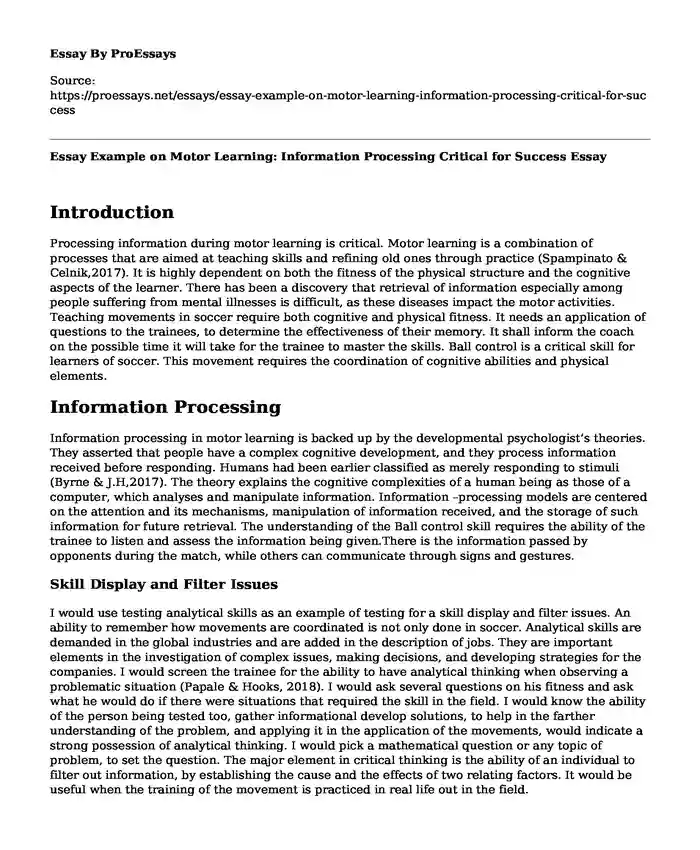 Essay Example on Motor Learning: Information Processing Critical for Success