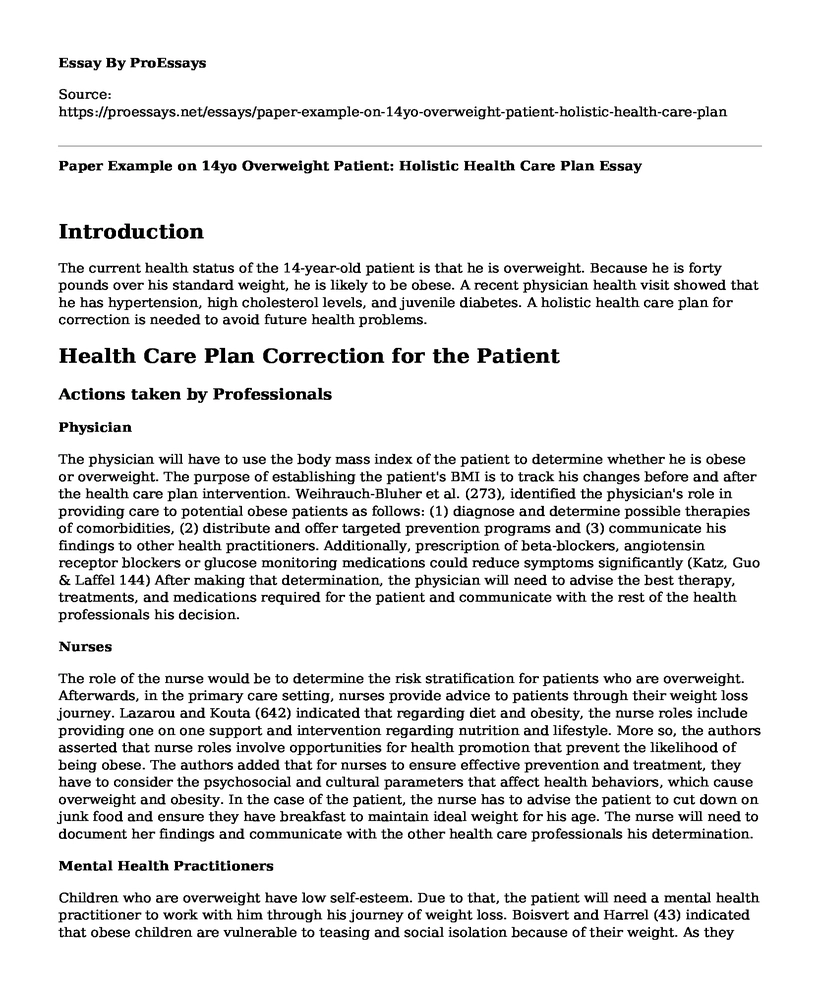 Paper Example on 14yo Overweight Patient: Holistic Health Care Plan