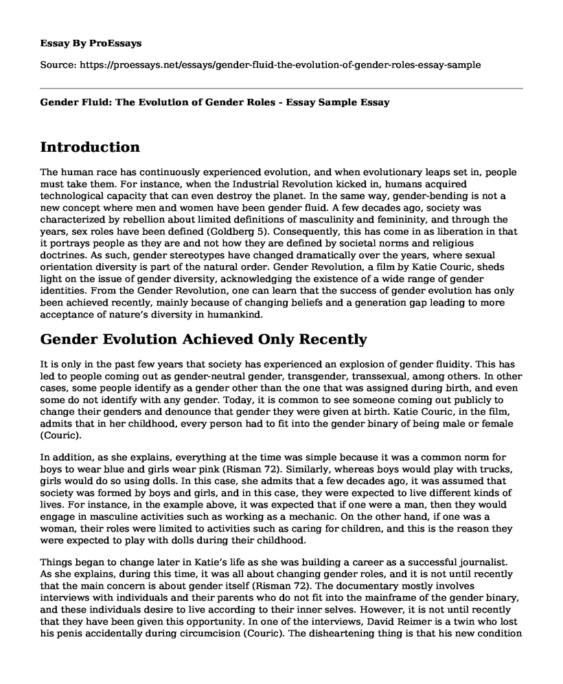Gender Fluid: The Evolution of Gender Roles - Essay Sample