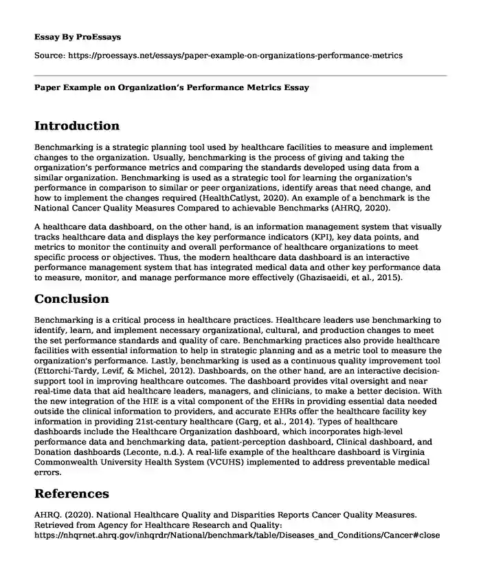 Paper Example on Organization's Performance Metrics