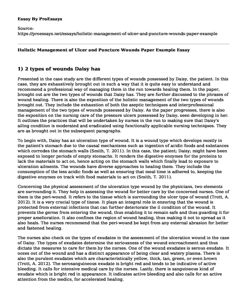 Holistic Management of Ulcer and Puncture Wounds Paper Example