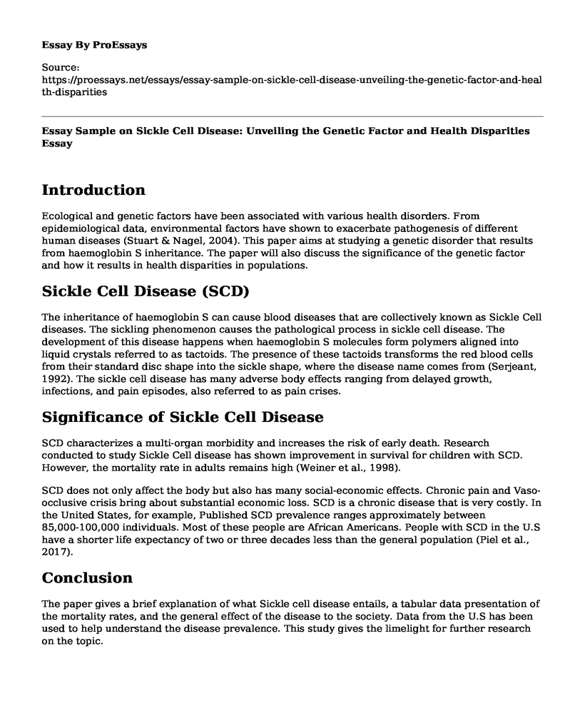 Essay Sample on Sickle Cell Disease: Unveiling the Genetic Factor and Health Disparities
