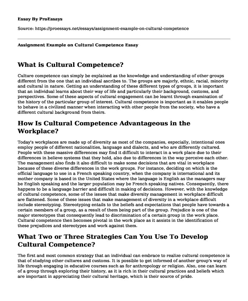 Assignment Example on Cultural Competence