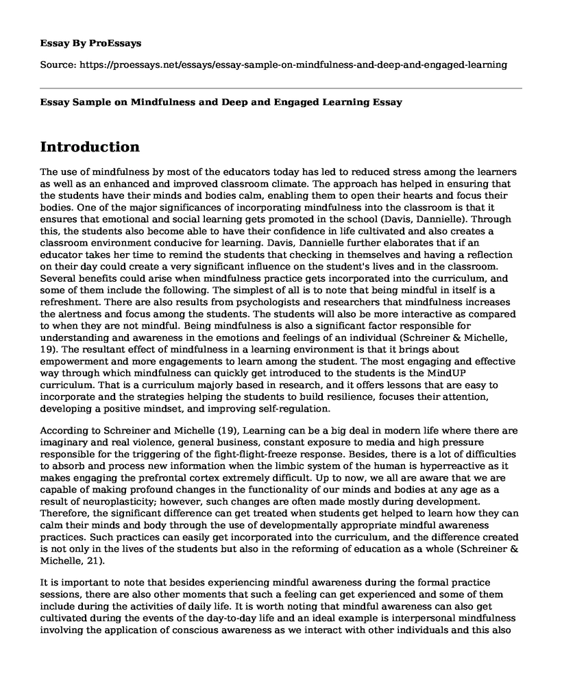 Essay Sample on Mindfulness and Deep and Engaged Learning