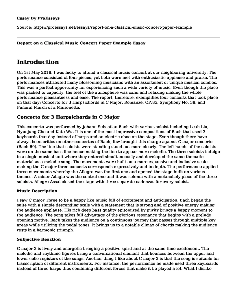 Report on a Classical Music Concert Paper Example