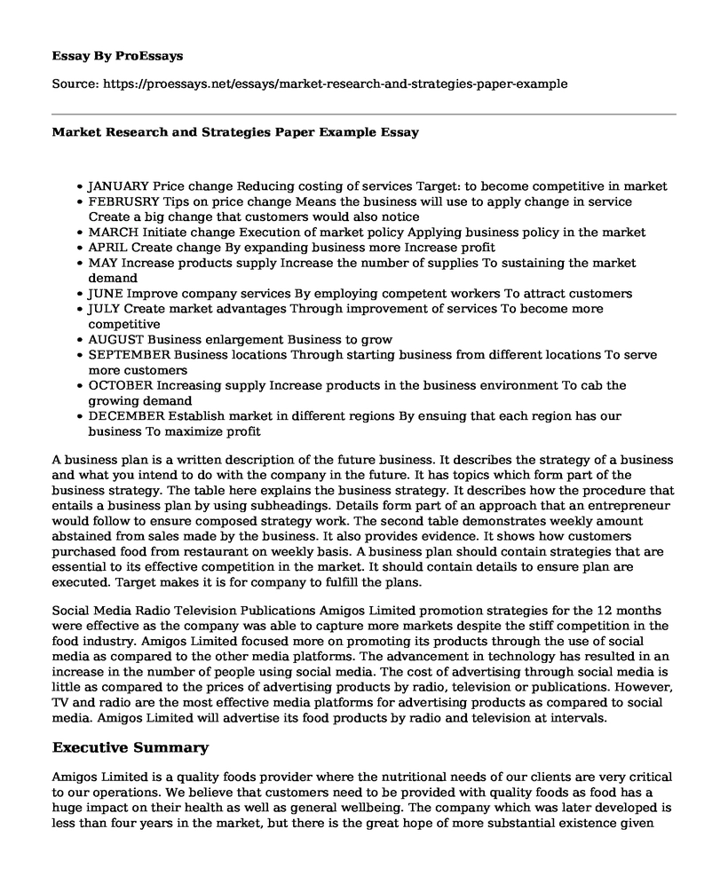 Market Research and Strategies Paper Example