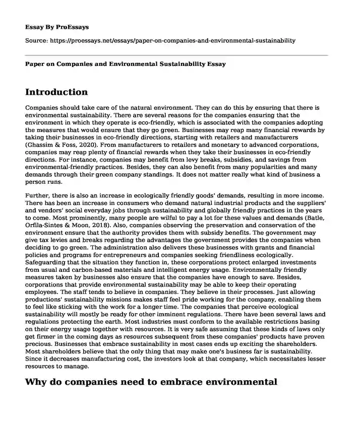 Paper on Companies and Environmental Sustainability