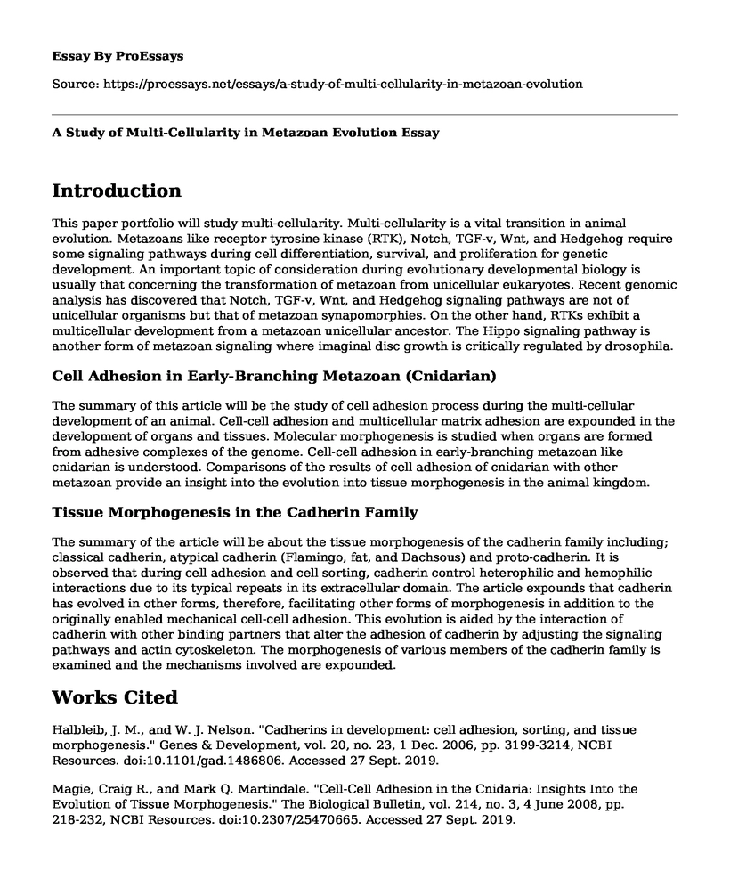 A Study of Multi-Cellularity in Metazoan Evolution