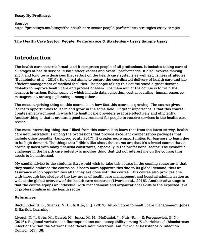 The Health Care Sector: People, Performance & Strategies - Essay Sample