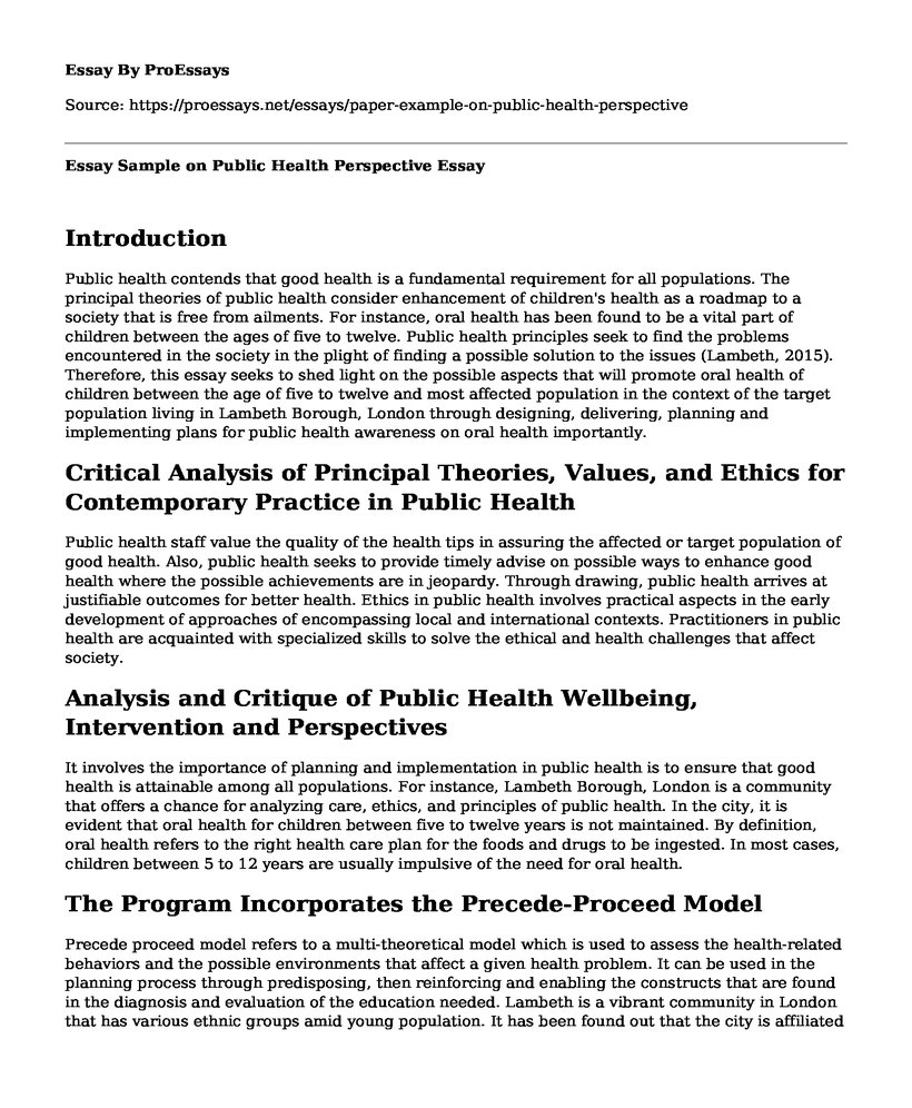 Essay Sample on Public Health Perspective