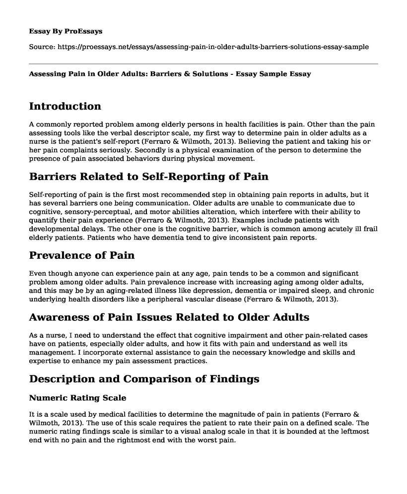 Assessing Pain in Older Adults: Barriers & Solutions - Essay Sample