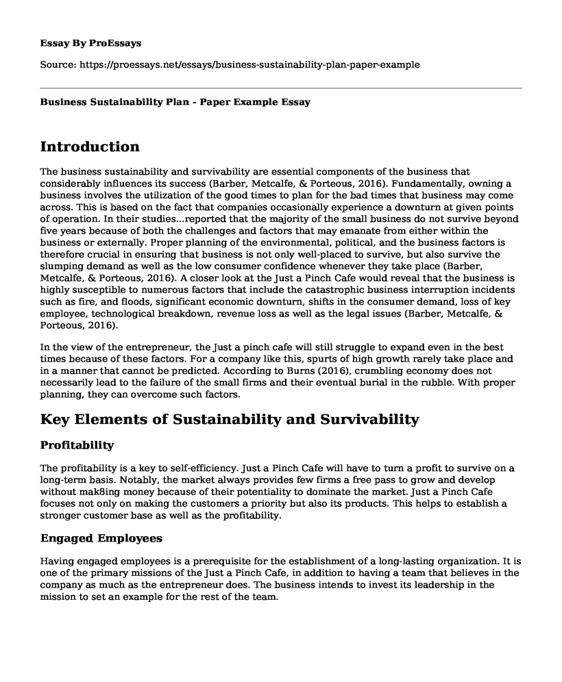 Business Sustainability Plan - Paper Example