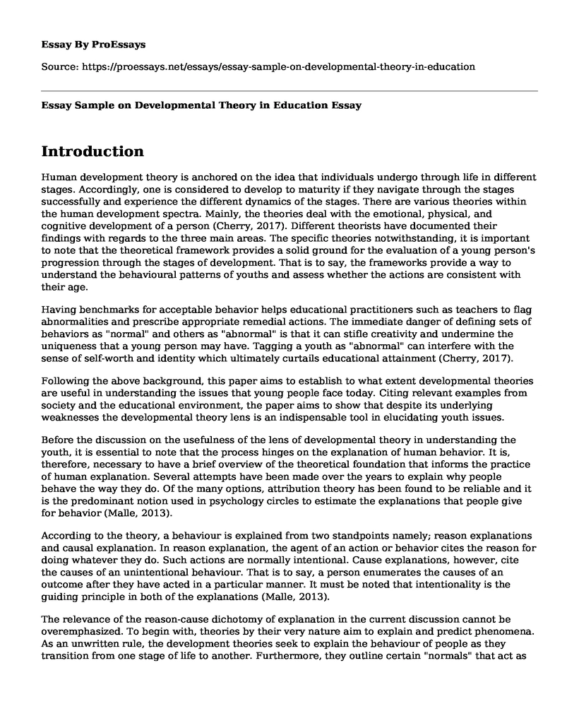 Essay Sample on Developmental Theory in Education