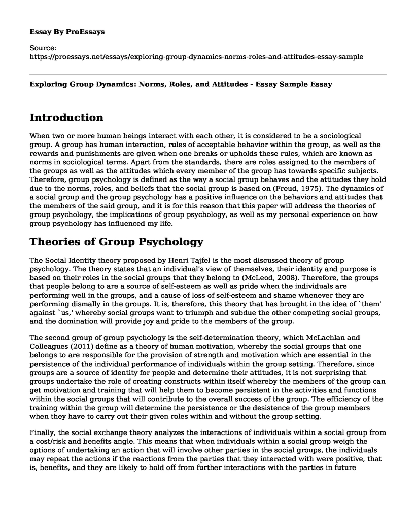 Exploring Group Dynamics: Norms, Roles, and Attitudes - Essay Sample