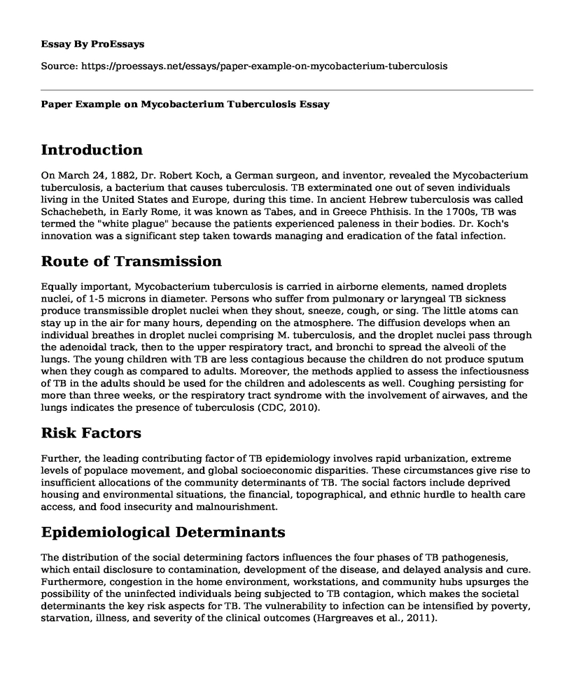 Paper Example on Mycobacterium Tuberculosis