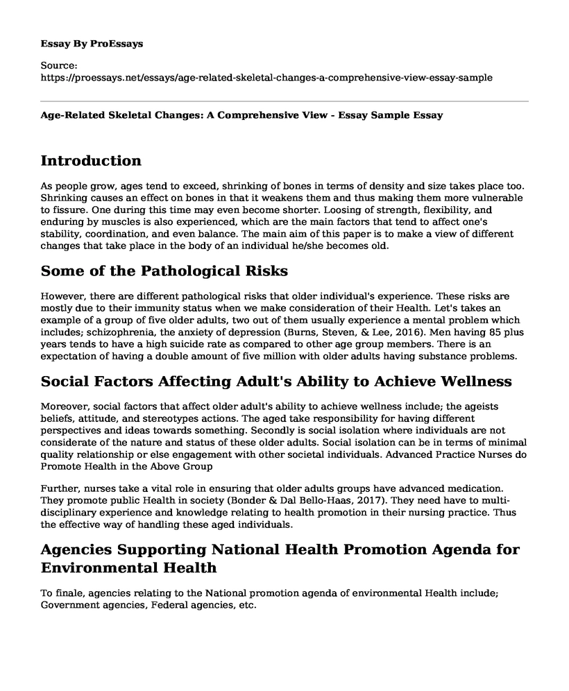 Age-Related Skeletal Changes: A Comprehensive View - Essay Sample