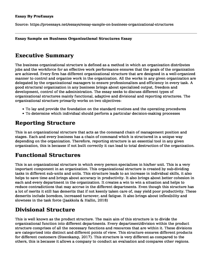 Essay Sample on Business Organizational Structures