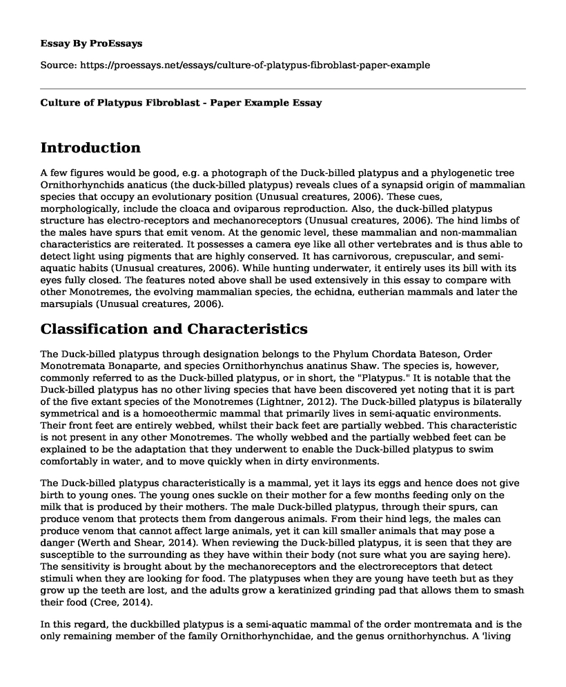 Culture of Platypus Fibroblast - Paper Example