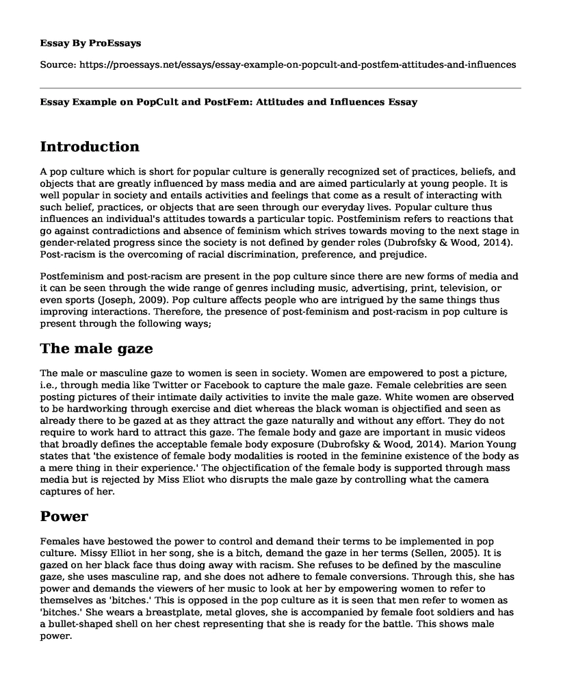 Essay Example on PopCult and PostFem: Attitudes and Influences