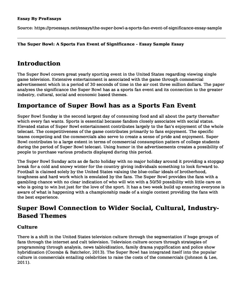 The Super Bowl: A Sports Fan Event of Significance - Essay Sample