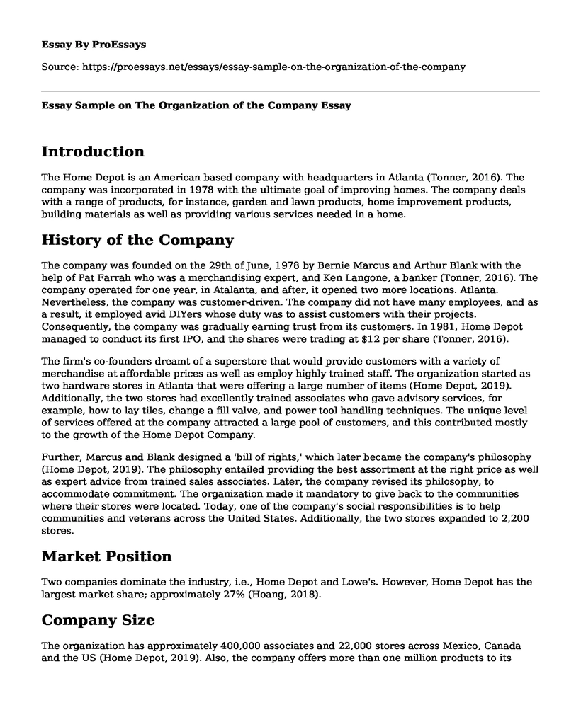 Essay Sample on The Organization of the Company