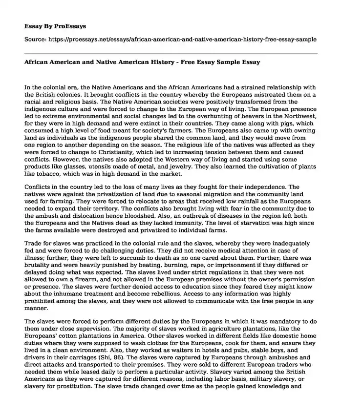 African American and Native American History - Free Essay Sample