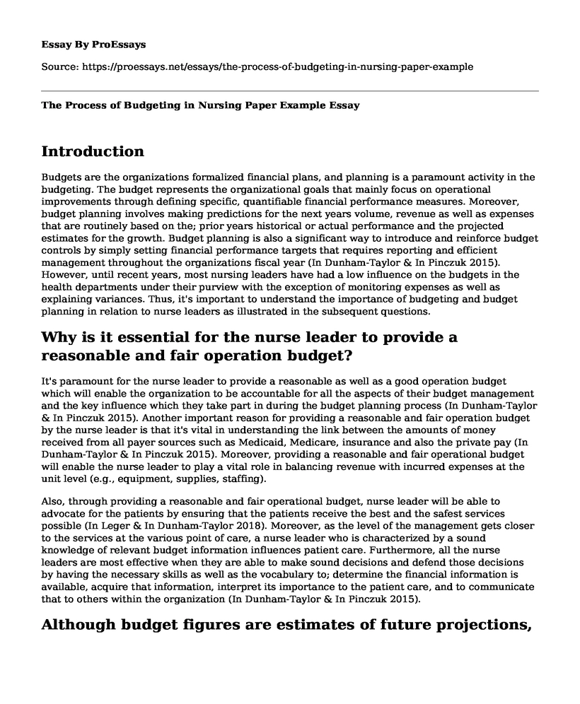 The Process of Budgeting in Nursing Paper Example