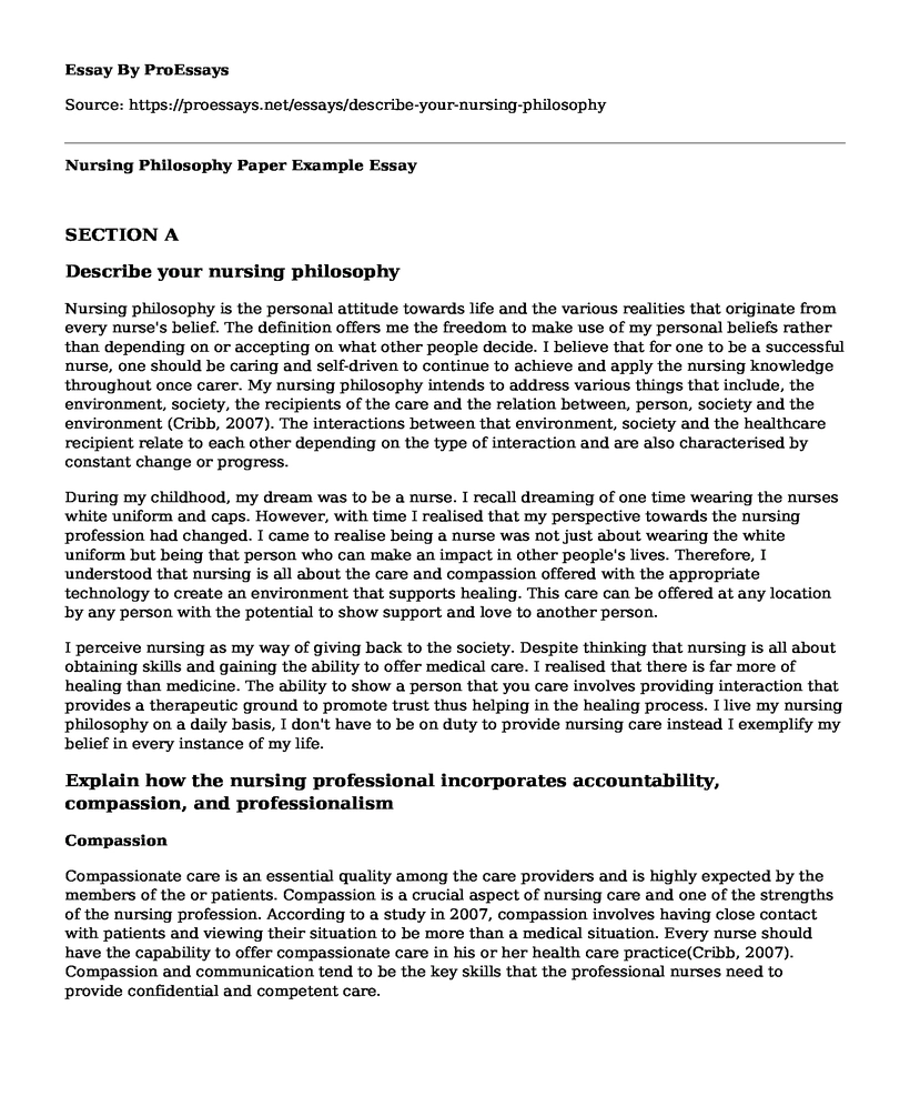 Nursing Philosophy Paper Example