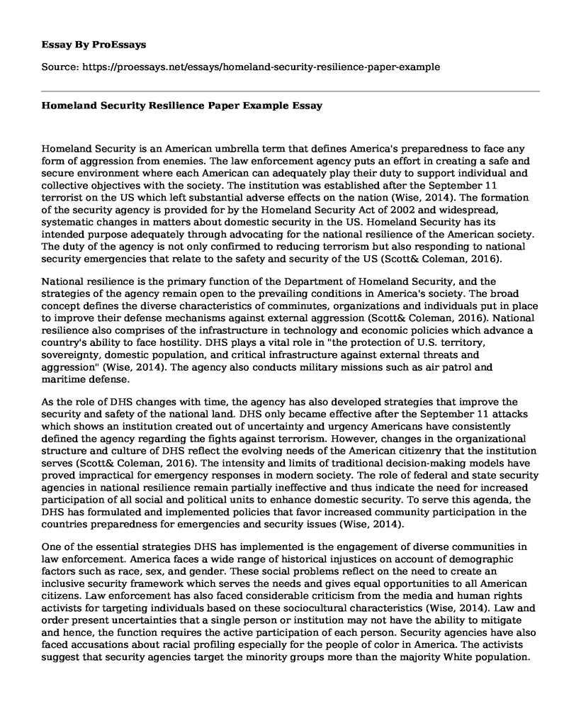 Homeland Security Resilience Paper Example