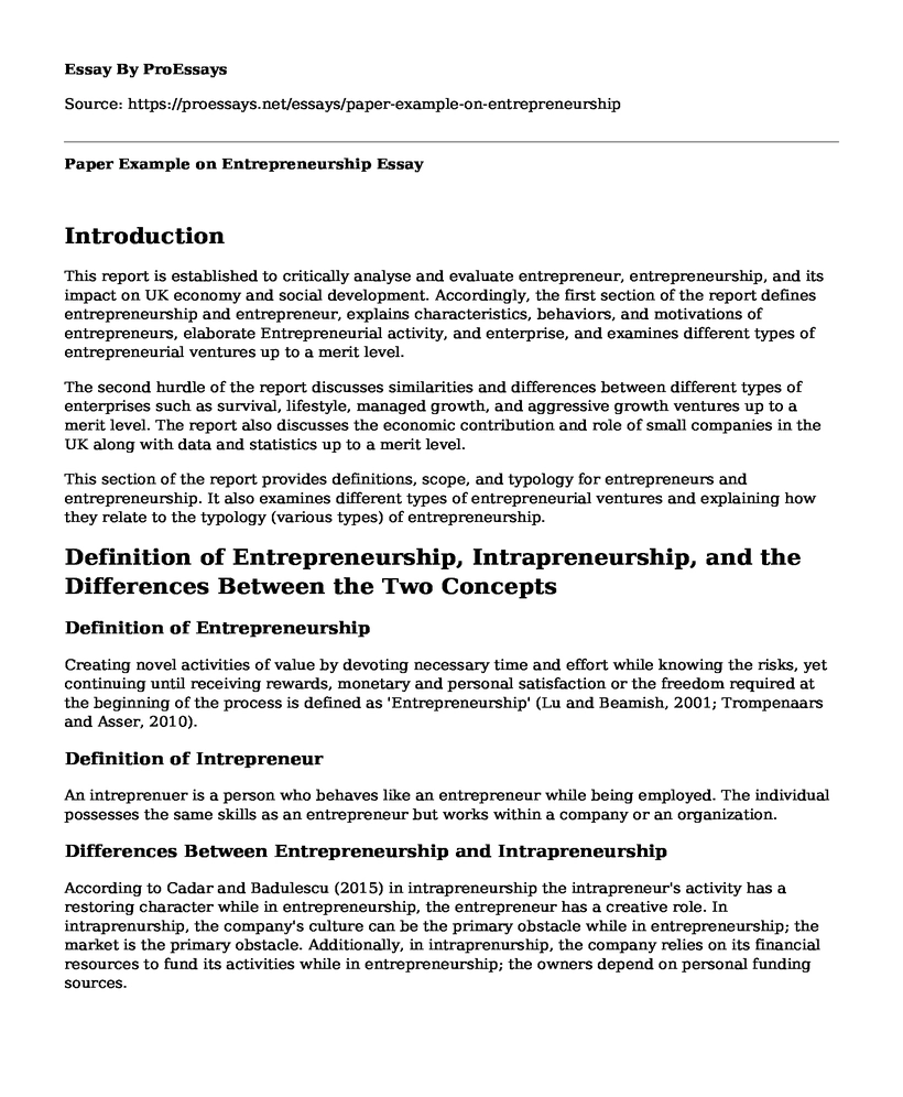 Paper Example on Entrepreneurship
