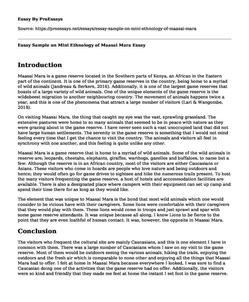 Essay Sample on Mini Ethnology of Maasai Mara