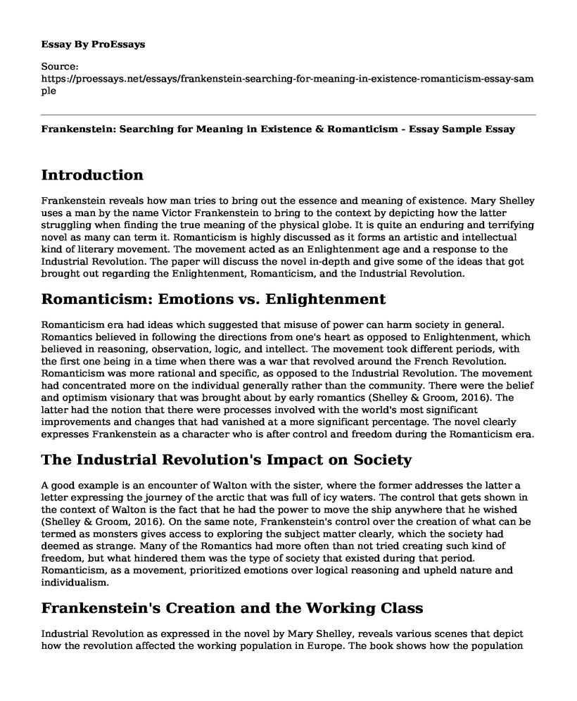 Frankenstein: Searching for Meaning in Existence & Romanticism - Essay Sample