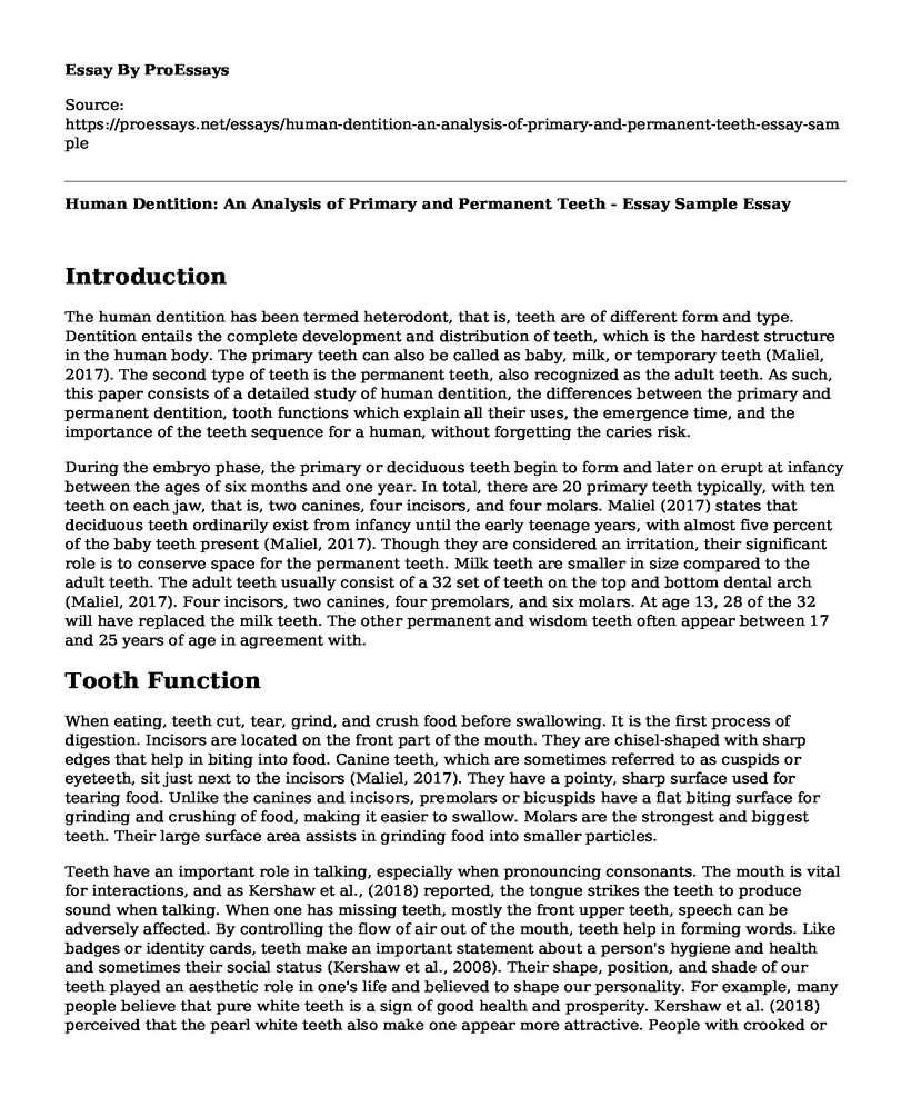 Human Dentition: An Analysis of Primary and Permanent Teeth - Essay Sample