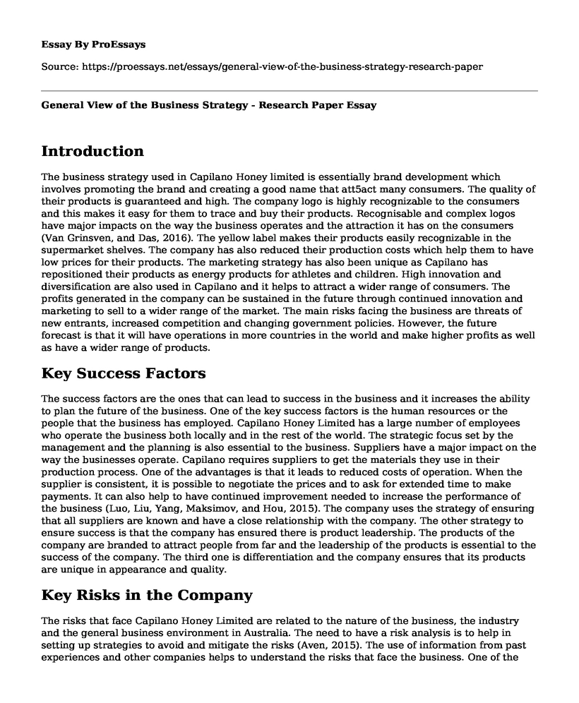 General View of the Business Strategy - Research Paper