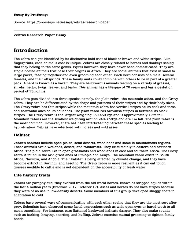 Zebras Research Paper