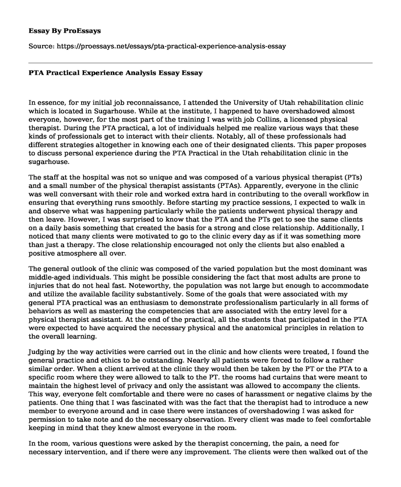 PTA Practical Experience Analysis Essay