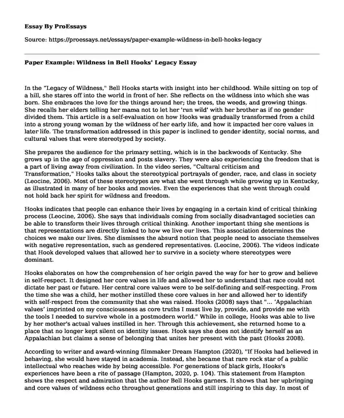 Paper Example: Wildness in Bell Hooks' Legacy