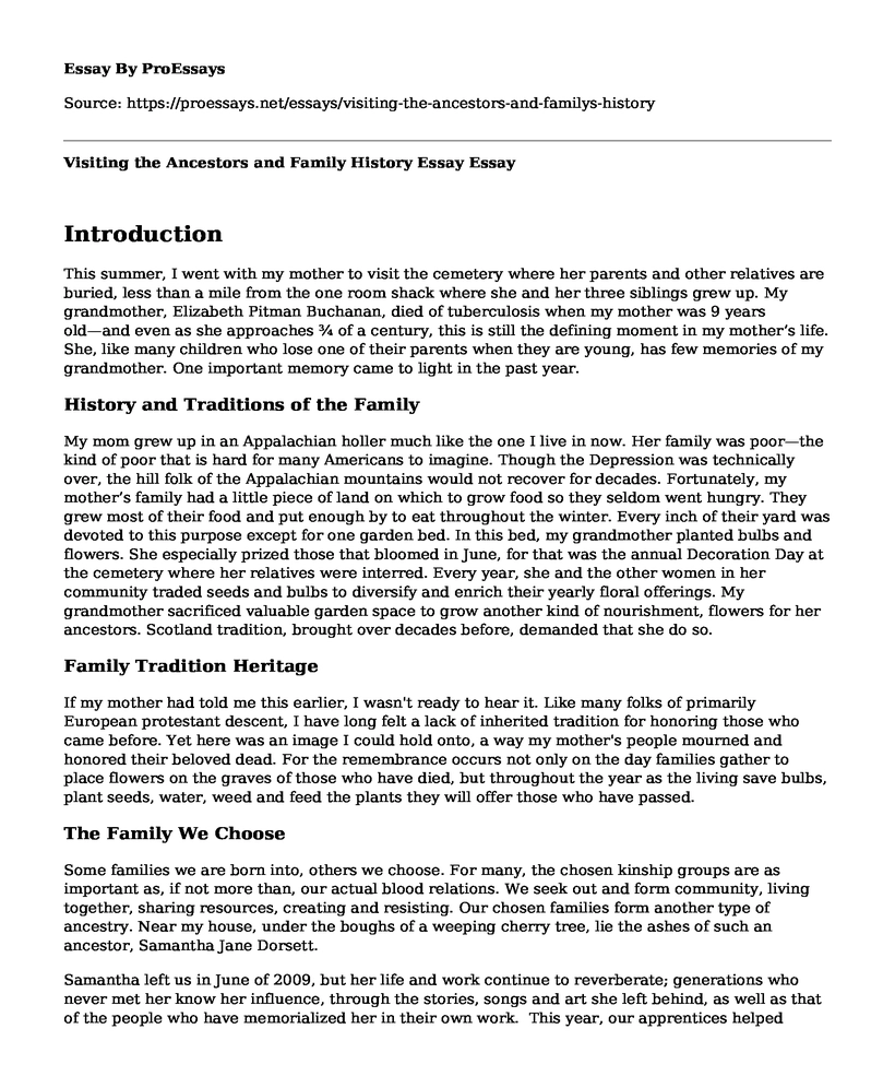 Visiting the Ancestors and Family History Essay
