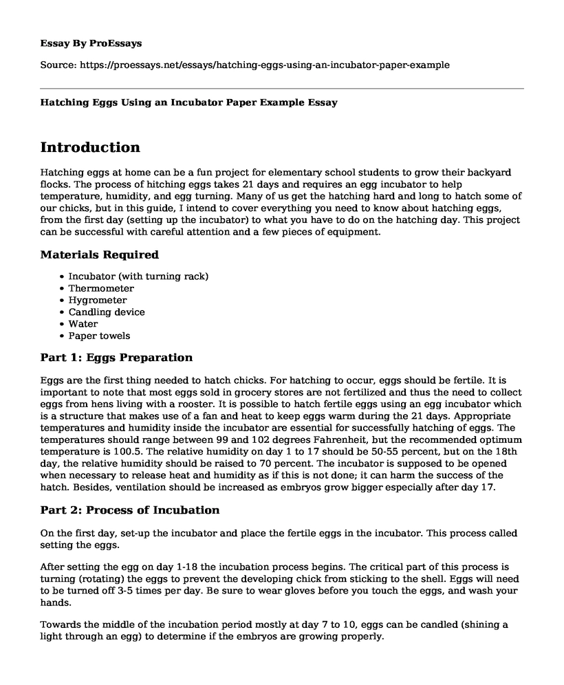 Hatching Eggs Using an Incubator Paper Example