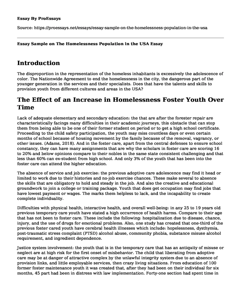Essay Sample on The Homelessness Population in the USA