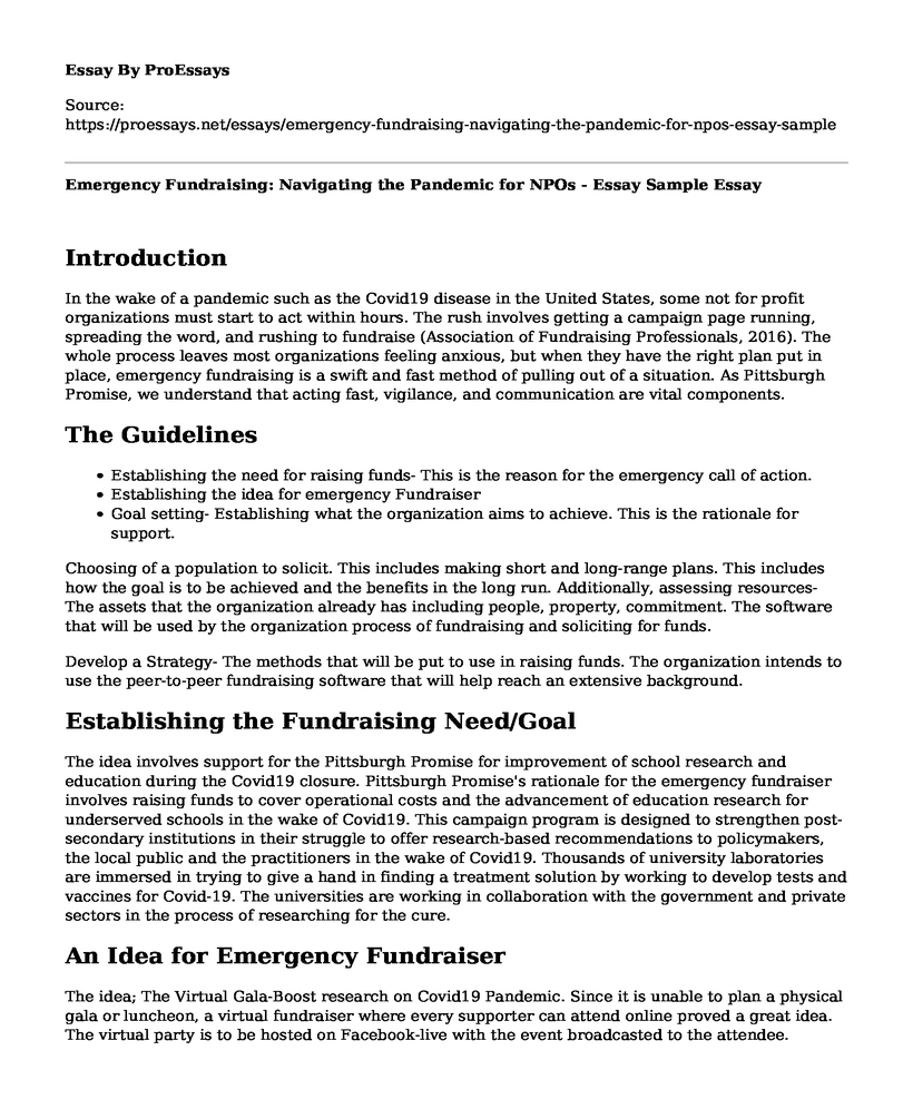Emergency Fundraising: Navigating the Pandemic for NPOs - Essay Sample