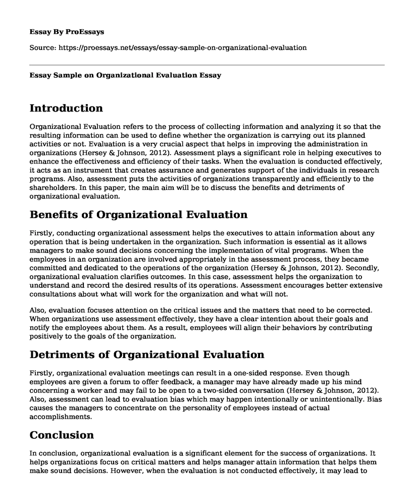 Essay Sample on Organizational Evaluation