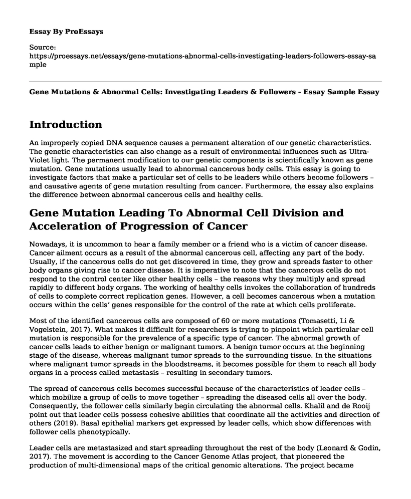 Gene Mutations & Abnormal Cells: Investigating Leaders & Followers - Essay Sample